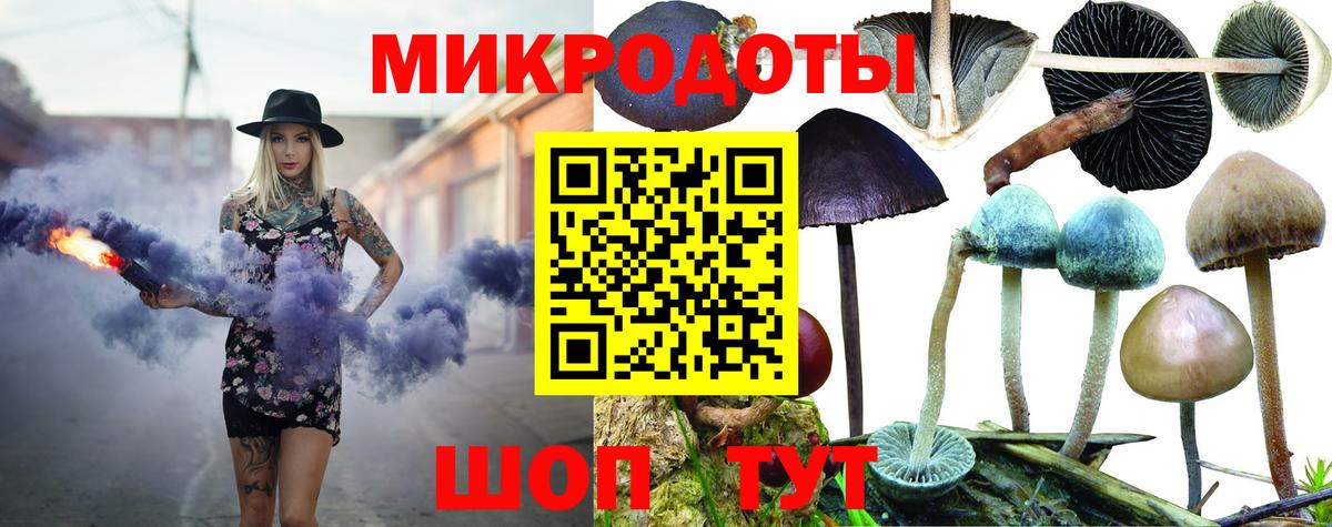 Галлюциногенные грибы прущие грибы Горячий Ключ